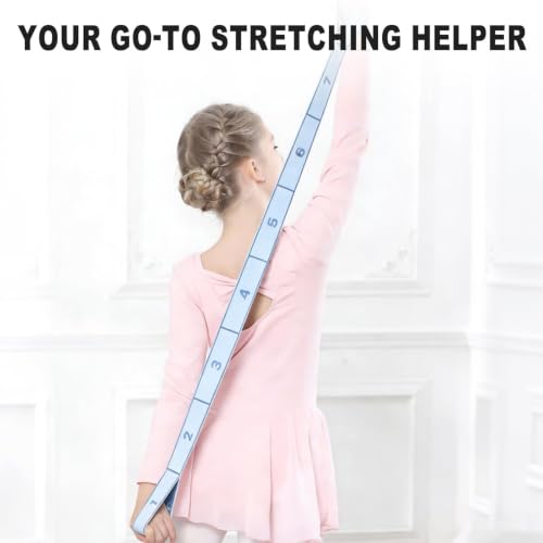 Stretch Bands 3 Pack with 8 Loops for Flexibility Training