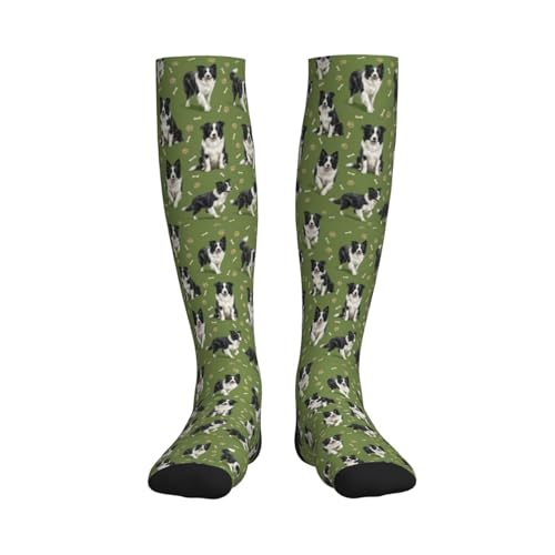 Cute Dog Compression Socks Women Men, Dog Lover Gift - color: Border Collie