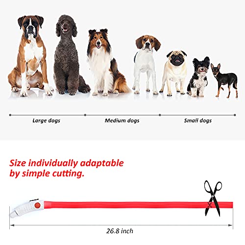 BSEEN Light Up Dog Collar, Silicone LED Dog Collar Rechargeable Cat Collar Cuttable Glowing Puppy Necklace Safety Dog Lights for Night Walking (Red) - color: Red-Standard(70cm)