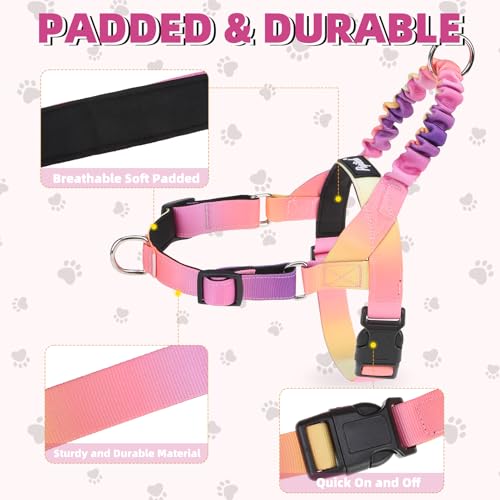 PUPTECK No Pull Dog Harness Small Sized Dog, Adjustable Reflective Pet Vest Harness with Bungee Handle, Escape Proof No Choke Harness for Small Dogs Walking Training, Pink & Purple M - color: Pink & Purple, size: M (NECK: 16.5"-19.5", CHEST: 21.5"-28")