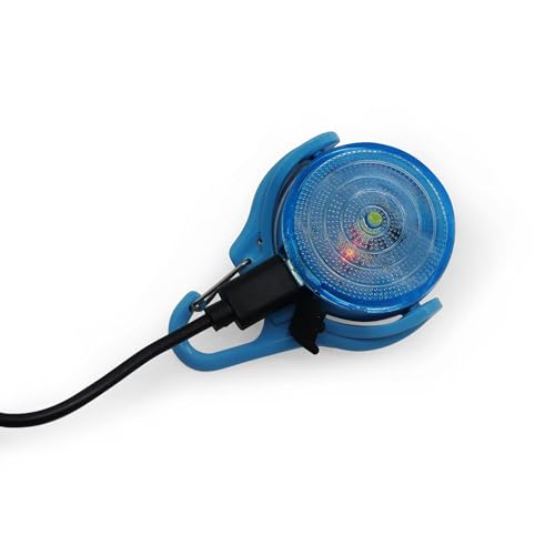Rechargeable Adventure Light | Water Resistant Bright LED Clip-On Flashing Light for Dog Walking, Running and All Outdoor Activities (White) - color: White