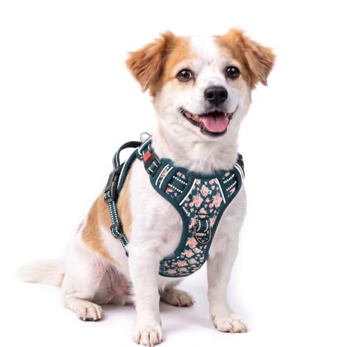 HEELE Dog Harness, Soft Padded, Easy On & Off, Flower Blackish Green, S - color: Flower Blackish Green, size: S (Pack of 1)