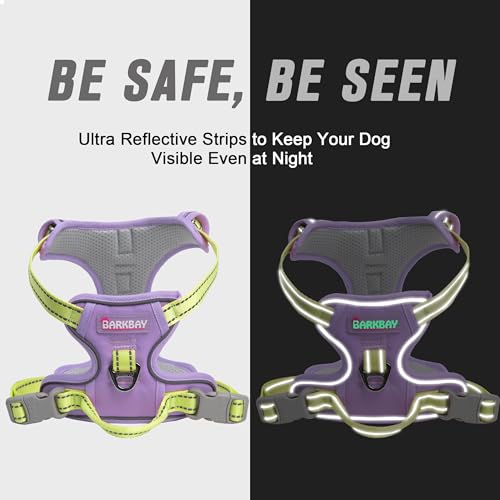 BARKBAY Dog Harness No Pull for Small Sized Dog Front Back Clips,Dog Vest - color: Violet Purple & Sunlight, size: X-Small(Chest:15.5-19.5”)