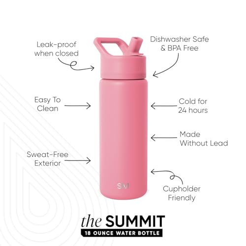 Simple Modern Insulated Water Bottle with Straw | 18oz | Pink - color: Velvet Pink (Pack of 1), style: 18oz