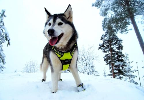 TRUE LOVE Adjustable No-Pull Dog Harness Reflective Vest, Neon Yellow, XS - color: Neon Yellow, size: XS