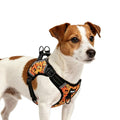 PUPTECK Halloween Dog Harness Small Sized Dog, Step in Adjustable Reflective Dog Vest Harness Escape Proof, No Pull Soft Padded Harness Easy Control, Black S - color: Black(Halloween), size: S (CHEST: 13"-18")