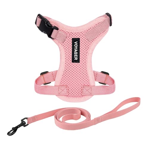 Voyager Escape-Proof Step-in Harness & Leash - Pink, XS - color: Pink, size: XS (Chest: 13 - 16")