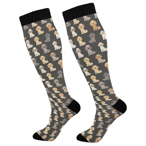 Snowflake Red Christmas Compression Sock for Women Men Funny Support Knee High Socks Running,Nurses,Travel - color: Multicolor