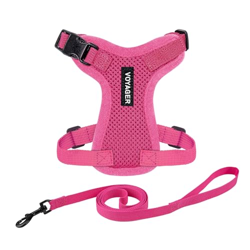 Voyager Escape-Proof Step-in Harness & Leash - Fuchsia, XXXS - color: Fuchsia, size: XXXS (Chest: 10.5 - 13")