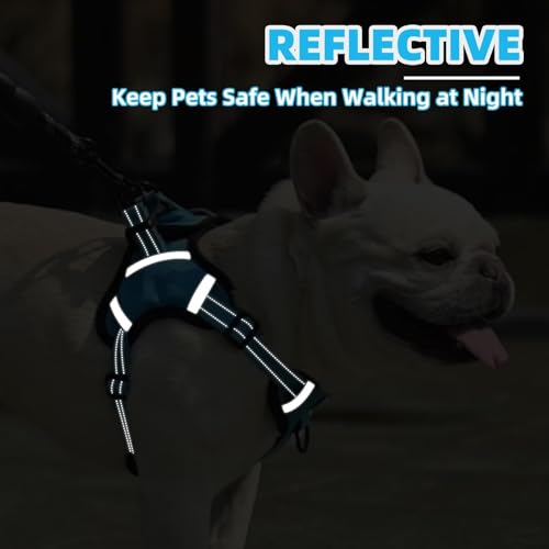 PUPTECK Dog Harness Small Sized Dog, Step in Adjustable Reflective Dog Vest Harness Escape Proof, No Pull Soft Padded Harness Easy Control, Blue, S - color: Blue, size: S (CHEST: 13"-18")