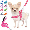Lukovee Small Dog Harness and Leash Set, No Pull Soft Padded, 4ft Leash, XS - color: B-pink, size: XS ( Chest 14'' ~ 18'')