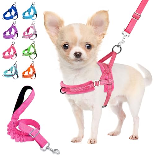 Lukovee Small Dog Harness and Leash Set, No Pull Soft Padded, 4ft Leash, M - color: B-pink, size: M ( Chest 19.7'' ~ 29.1'')
