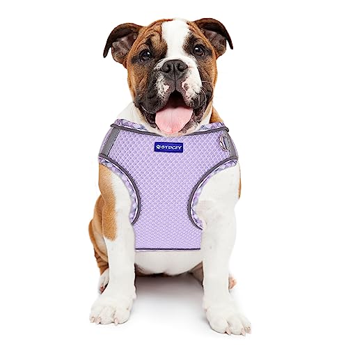 Step in Mesh Dog Harness and Leash Set Breathable Air Mesh Harness - color: Purple, size: XXS(neck:8.5"-9.5",chest:10"-11.5")