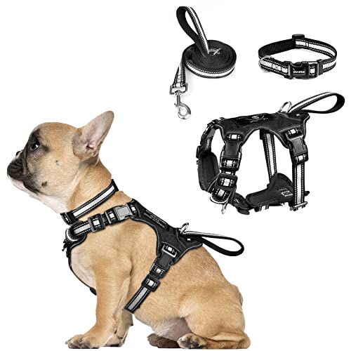 WINSEE Pet Harness Collar and Leash Set, All-in-one Reflective Dog Harness No Pull with Adjustable Buckles for Puppies, Small, Medium, Large, and Extra-Large Dogs (Small, Black) - color: Black, size: Small