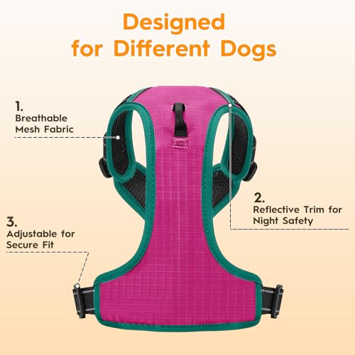 No Pull Dog Harness, No-Choke Soft Padded Reflective Dog Vest Harness with Front Clip & Top Handle, 2 Quick-Release Buckles, Adjustable for Small Medium Large Dogs - color: Pink/Turquoise, size: X-Small
