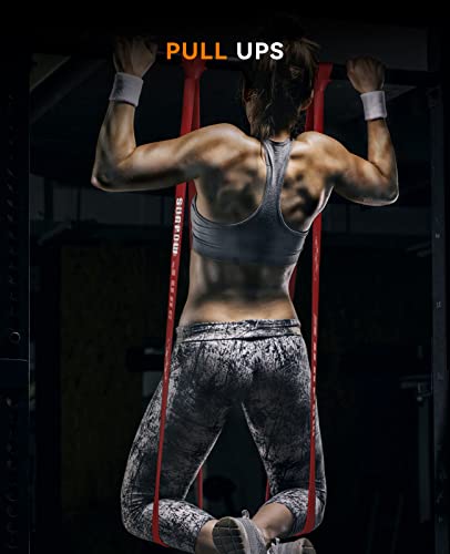 SUNPOW Pull Up Assistance Bands Set of 5 Resistance Heavy Duty Workout Exercise Stretch Fitness Bands Assist Set for Body, Instruction Guide and Carry Bag Included - color: Multicolor（15-135lbs）