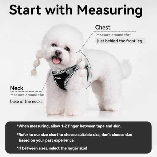 Petank Step in Dog Harness No Pull and Leash for Small Medium Dogs Cats. - color: Black, size: XXS