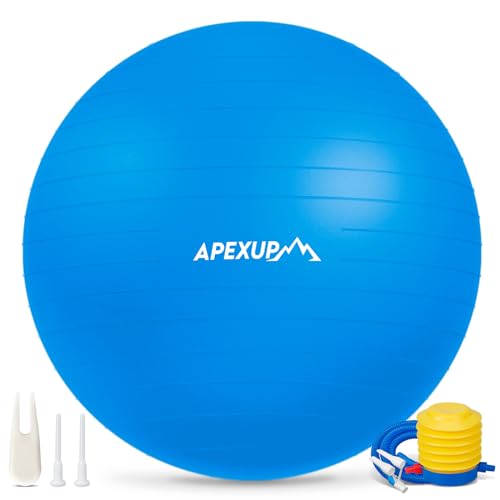 APEXUP Yoga Ball, 660 lbs Anti-Burst Exercise Ball with Pump, 5 Sizes - color: Blue, size: M (19"~22") 55cm