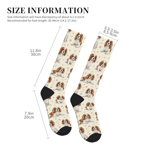 Cute Dog Compression Socks Women Men, Dog Lover Gift - color: King Charles Cavalier1