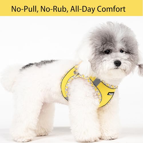 Petank Step in Dog Harness No Pull and Leash for Small Medium Dogs Cats. - color: Yellow, size: XXS