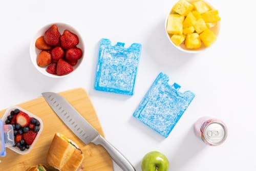 Igloo Maxcold Ice Block, 4 Pieces - color: 4pk small