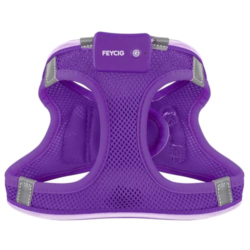 Light Up Dog Harness,Rechargeable LED Dog Harness for Small Medium Dogs - color: Purple, size: S