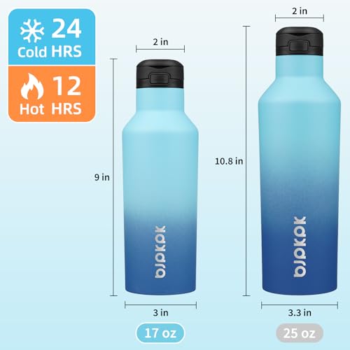 BJPKPK 17oz Insulated Thermal Water Bottle, Straw & Handle, Stainless Steel - color: Sky, size: 17 Ounces
