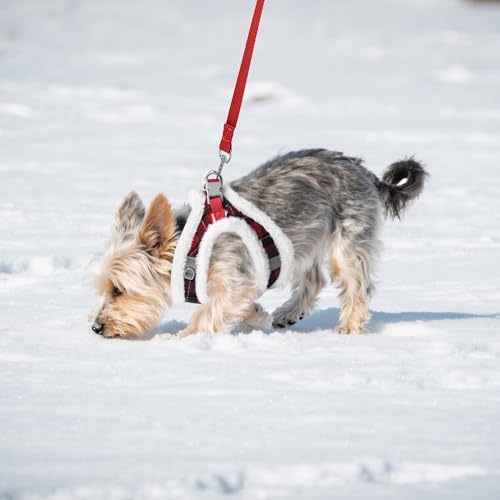 AIITLE Christmas Plush Small Dog Harness and Leash Set, Puppy Vest, Red XXS - color: Red, size: XXS