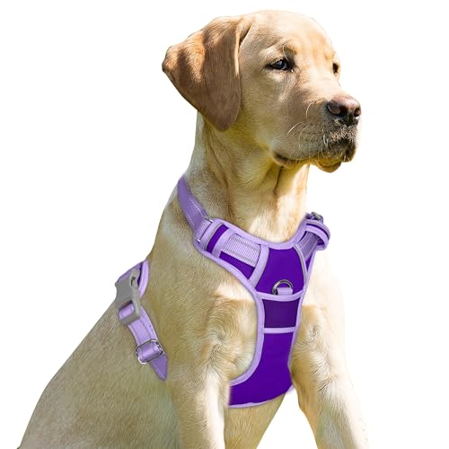 BARKBAY Dog Harness No Pull for Small Sized Dog Front Back Clips,Dog Vest - color: Violet Purple & Purple, size: X-Small(Chest:15.5-19.5”)