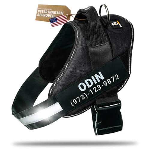 DOGGYKINGDOM Personalized Dog Harness with Custom Name Patches, Adjustable Reflective No Choke Dog Vest with Handle for XXL Dog, Black, 2XL - color: Black, size: 2XL (Chest: 37 - 42 in)