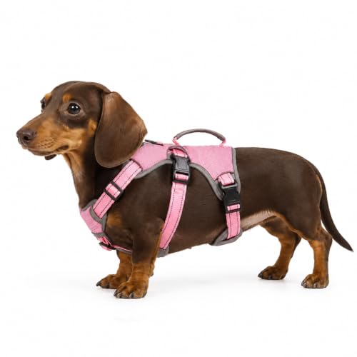 Escape Proof Dog Harness, No Escape No Pull Reflective Dog Harness with Durable Handle, Adjustable Heavy Duty Vest for Small Medium Large Dogs, Walking and Training (Pink,S) - color: Pink, size: S (Pack of 1)