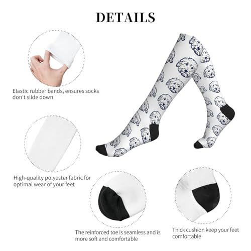 Compression Socks Knee High Support Stockings Women Men - color: Cute Goldendoodle