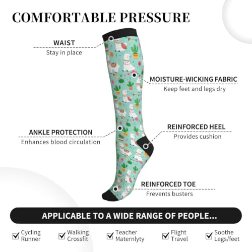 Avocado Compression Socks Women Men Knee High Stock for Running Work Support Nurses Travel - color: Alpaca Cactus