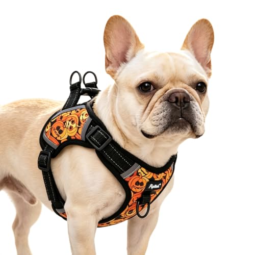 PUPTECK Halloween Dog Harness Small Sized Dog, Step in Adjustable Reflective Dog Vest Harness Escape Proof, No Pull Soft Padded Harness Easy Control, Black M - color: Black(Halloween), size: M (CHEST: 14.5"-20")