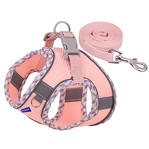 Step in Mesh Dog Harness and Leash Set Breathable Air Mesh Harness - color: Pink, size: M(neck:12"-13.5",chest:16"-18")