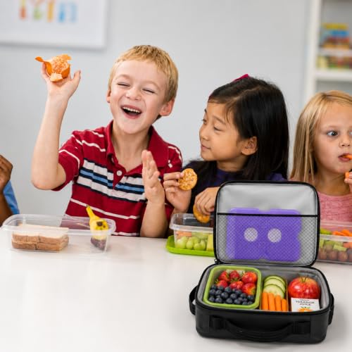 Healthy Packers Ice Packs for Lunch Boxes, Slim Cooler Ice Packs - color: Purple (4 Pack)