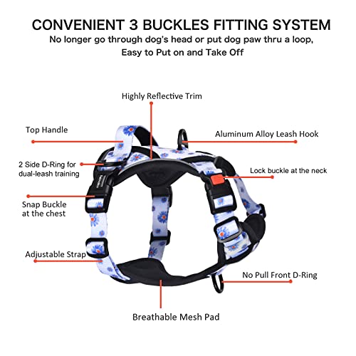 Petmolico No Pull Dog Harness and Leash Set with 4 Clips, Daisy, Medium - color: Dasiy, size: Medium