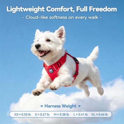 PoyPet Mesh Dog Harness, Reflective Breathable Puppy Vest for Small Dogs - color: Red, size: S