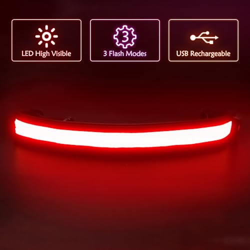 Illumifun LED Running Belt - USB Rechargeable Light Up Sash, High-Visibility Elastic Waistband Light for Running Cycling Hiking Camping Nighttime Activities - color: Red