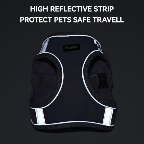 Petank Step in Dog Harness No Pull and Leash for Small Medium Dogs Cats. - color: Purple, size: XXXS