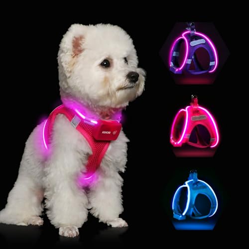 Light Up Dog Harness, Rechargeable LED Dog Harness for Small Medium Dogs - color: Pink, size: S