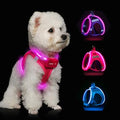 Light Up Dog Harness, Rechargeable LED Dog Harness for Small Medium Dogs - color: Pink, size: L