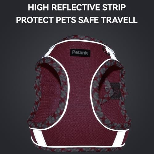 Petank Step in Dog Harness No Pull and Leash for Small Medium Dogs Cats. - color: Rose Red, size: M