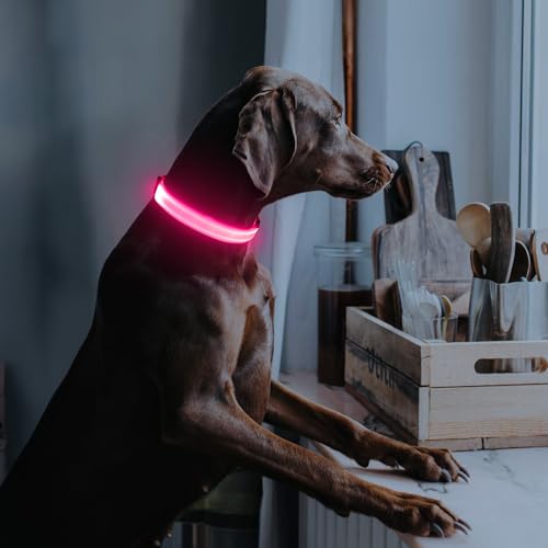 Illumifun Light Up Dog Collar, USB Rechargeable LED Collar, Waterproof Adjustable Glow Safety Light for Small Medium Large Dogs (Pink, Large) - color: Pink, size: Large