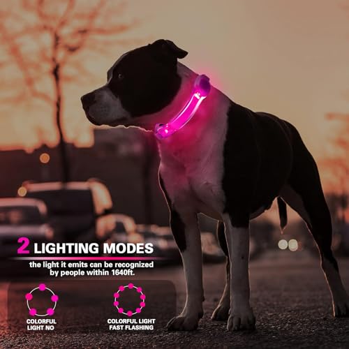 2 Pack LED Light for Dog Leash Harness, Light Up Dog Collar with Nylon Stickers, Waterproof Glow Light Easy to Attach to Collar Leash and Harness, Safety LED Light Up Band for Dogs at Night Walking - color: Green+Pink