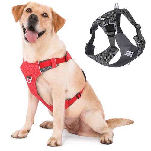 LIOPARD Dog Harness, Easy Walk Pet Harness No Pull with 2 Leash Clips, Reflective Running Soft Padded Adjustable Puppy Vest, Heavy Duty Seatbelt Harness for Car for Small Dogs (red, S)