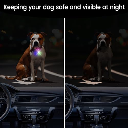 Dog Collar Light, 2 Pack Rechargeable Dog Light Clip On, 80LM Brightness 4 Color Modes Dogs Lights for Night Walking, Waterproof Pet Camping Essentials for Running, Cycling, Hiking (White)