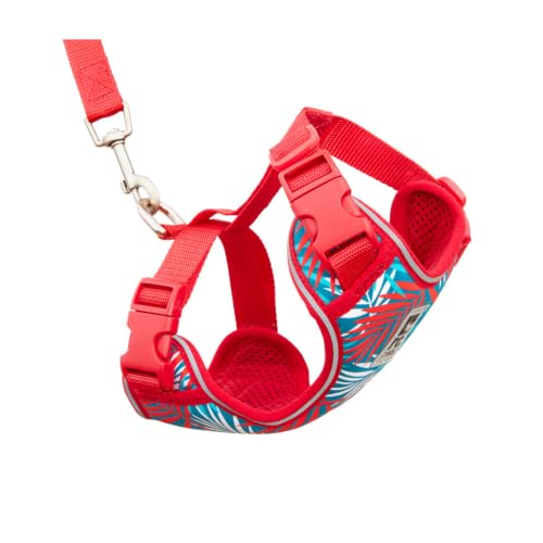 RC Pets Adventure Kitty Harness Includes Adjustable, Airmesh Fabric, 6' Leash and D-Ring Cat Walking Harness | Maldives, Medium - color: Maldives, size: Medium