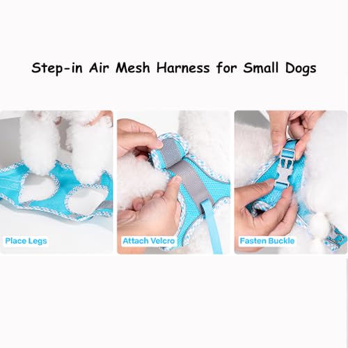 Petank Step in Dog Harness No Pull and Leash for Small Medium Dogs Cats. - color: Blue, size: XXXS