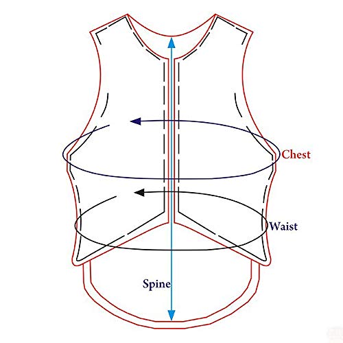 HILASON Purple Rodeo Safety Vest Protective Gear Equestrian - size: Medium